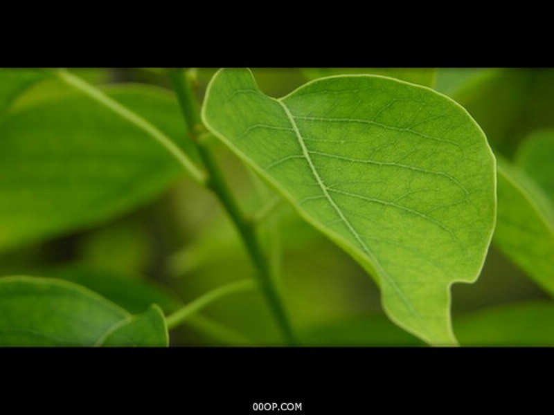Desktop 988