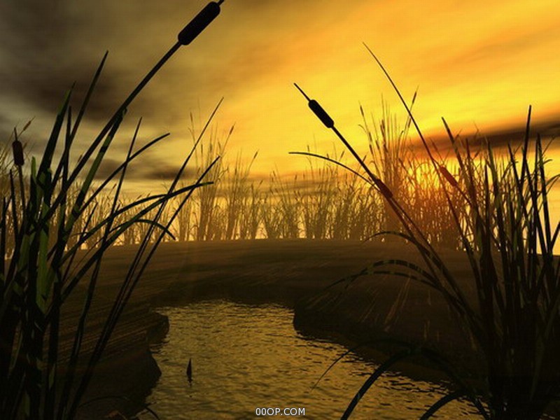Desktop 1053