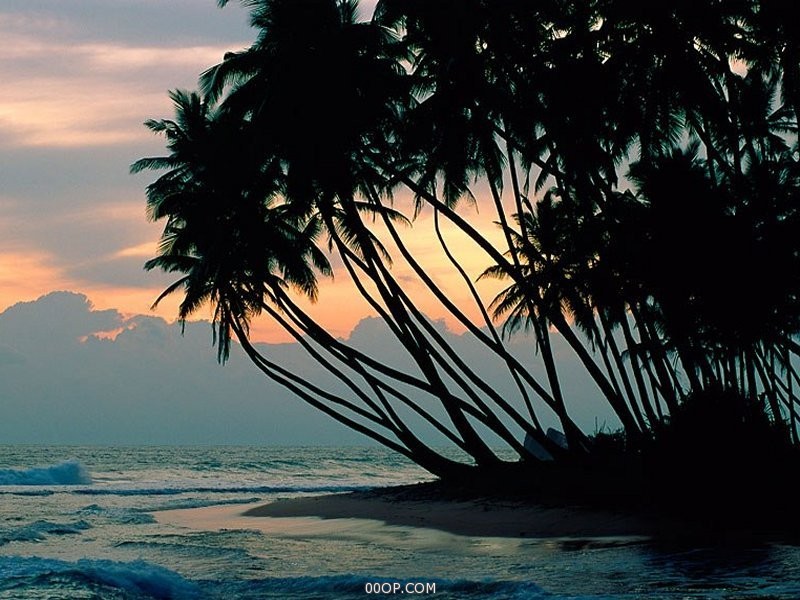 Desktop 1152