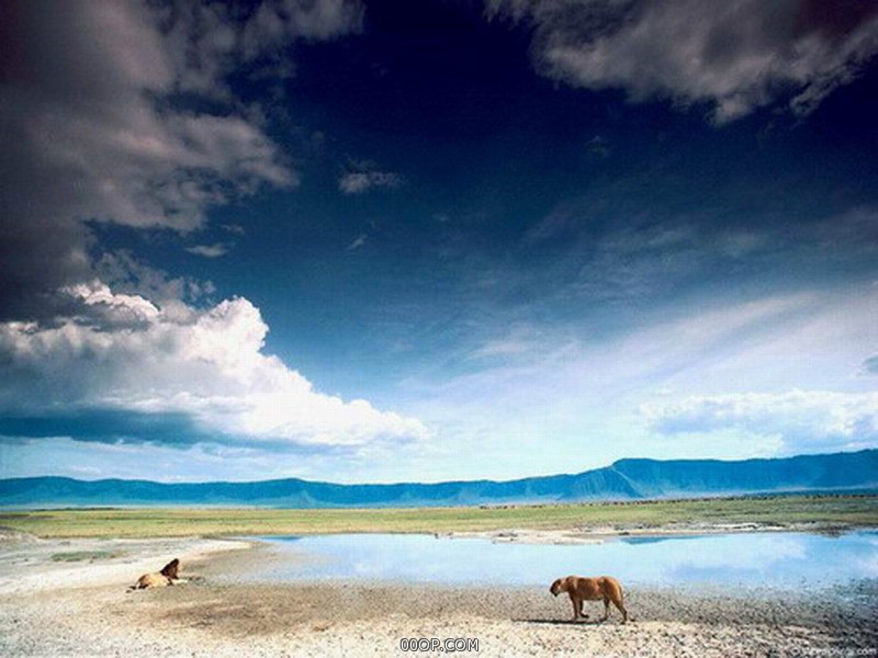 Desktop 1330