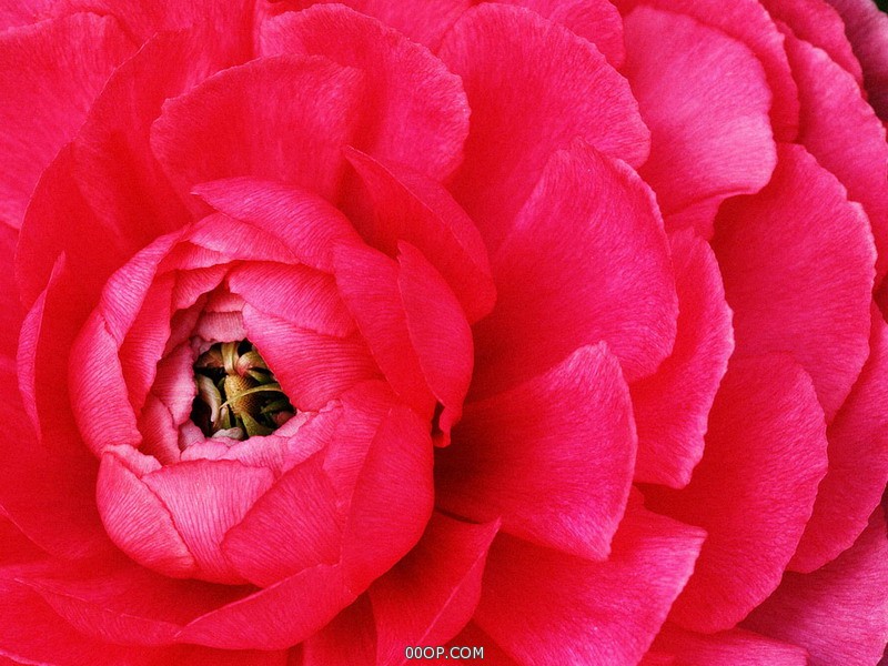 Desktop 1374
