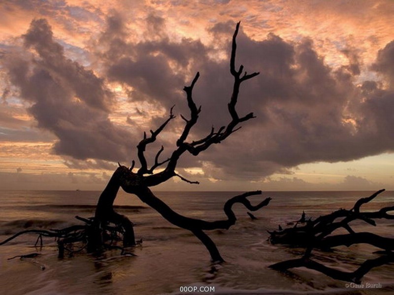 Desktop 1409