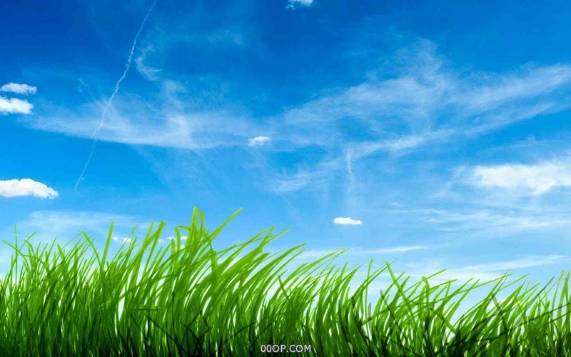 Desktop 1436
