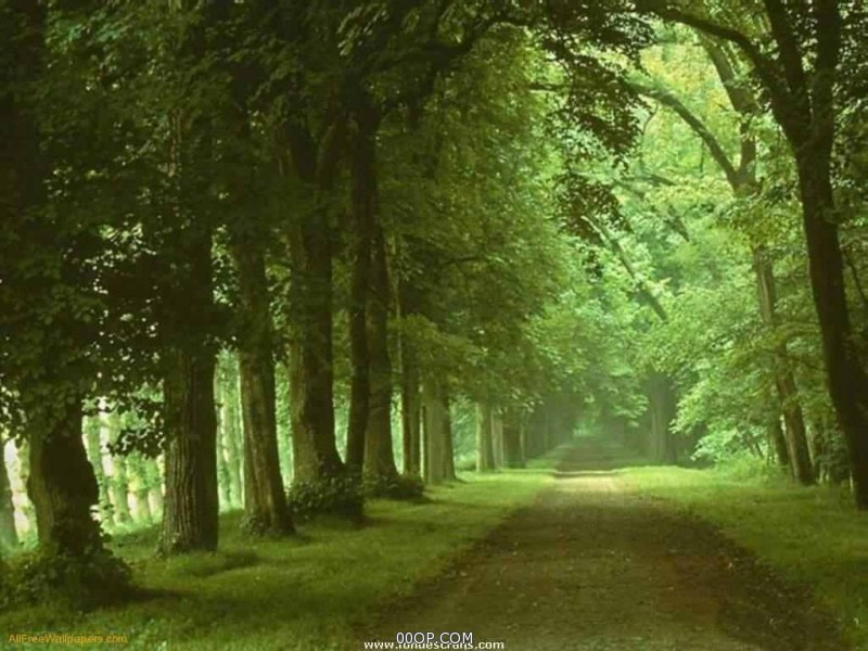 Desktop 1481