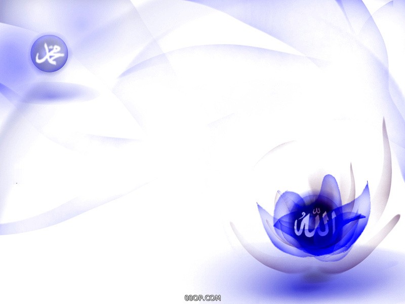 Desktop 1588
