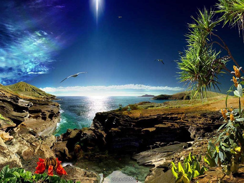 Desktop 1602