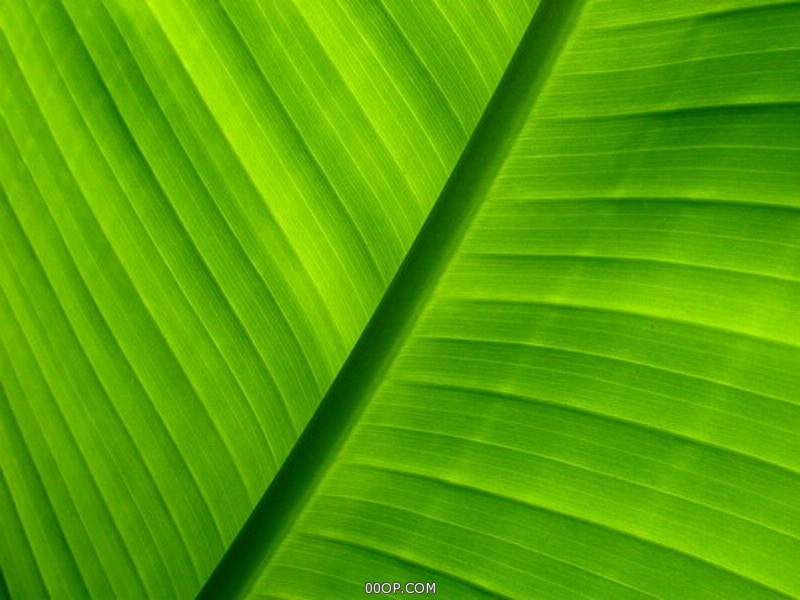 Desktop 1722