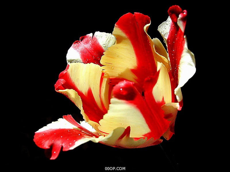 Desktop 1740