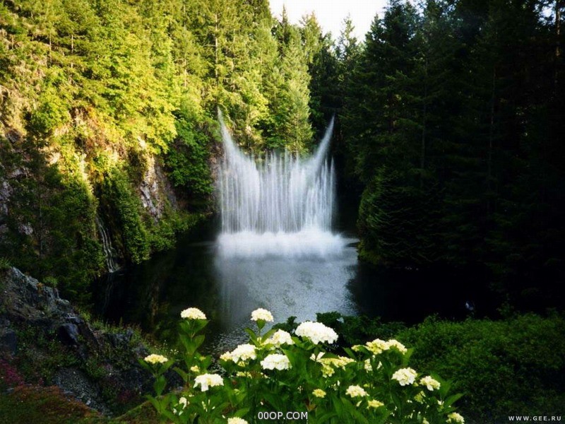 Desktop 1764