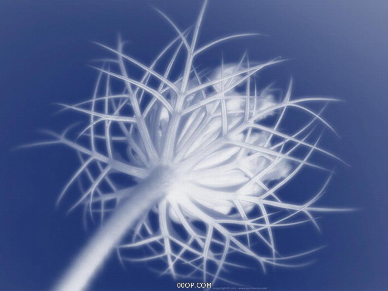 Desktop 1767