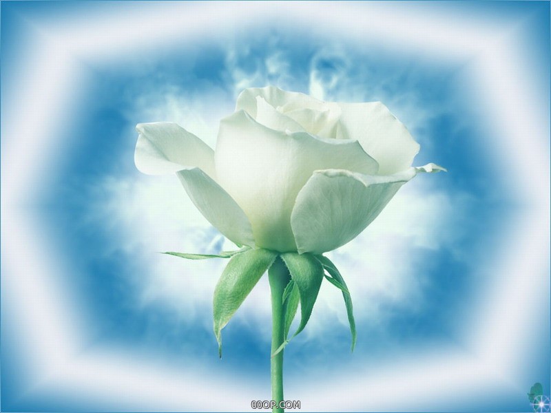 Desktop 424