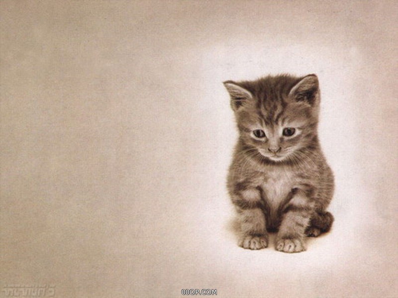 Desktop 464