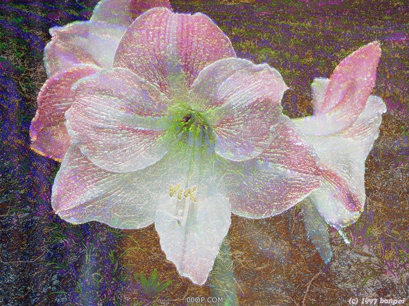 Desktop 517