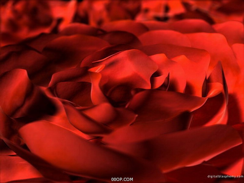 Desktop 551