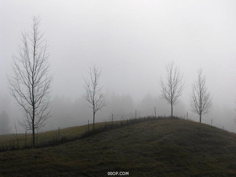 Desktop 580