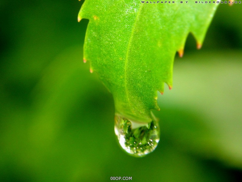 Desktop 683