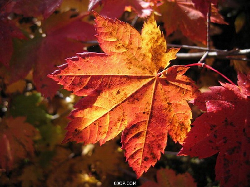 Desktop 735