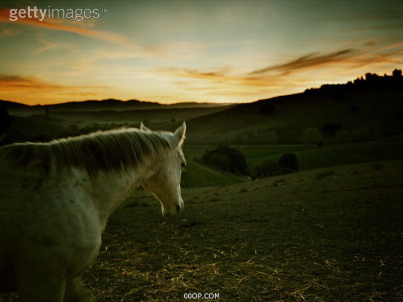 Desktop 758