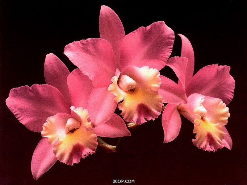 Desktop 896
