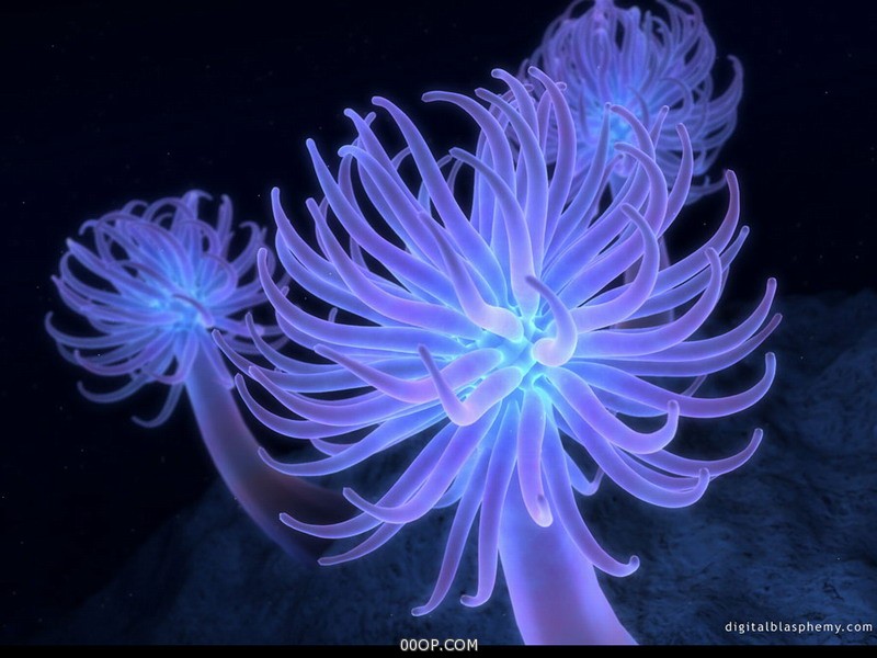 Desktop 926